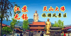 免费看美女操b江苏无锡灵山大佛旅游风景区