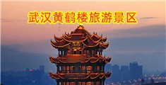 WWW,cn好逼网