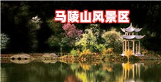 草B视频播放